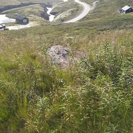 Modern With Views Innjotunheimen Feriehus