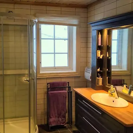Modern With Views Innjotunheimen Holiday home Ovre Ardal