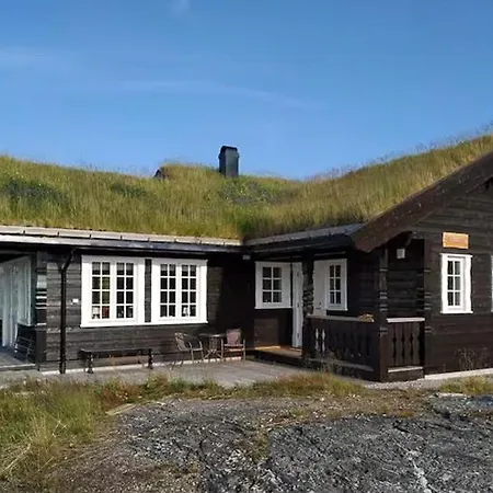 Modern With Views Innjotunheimen *